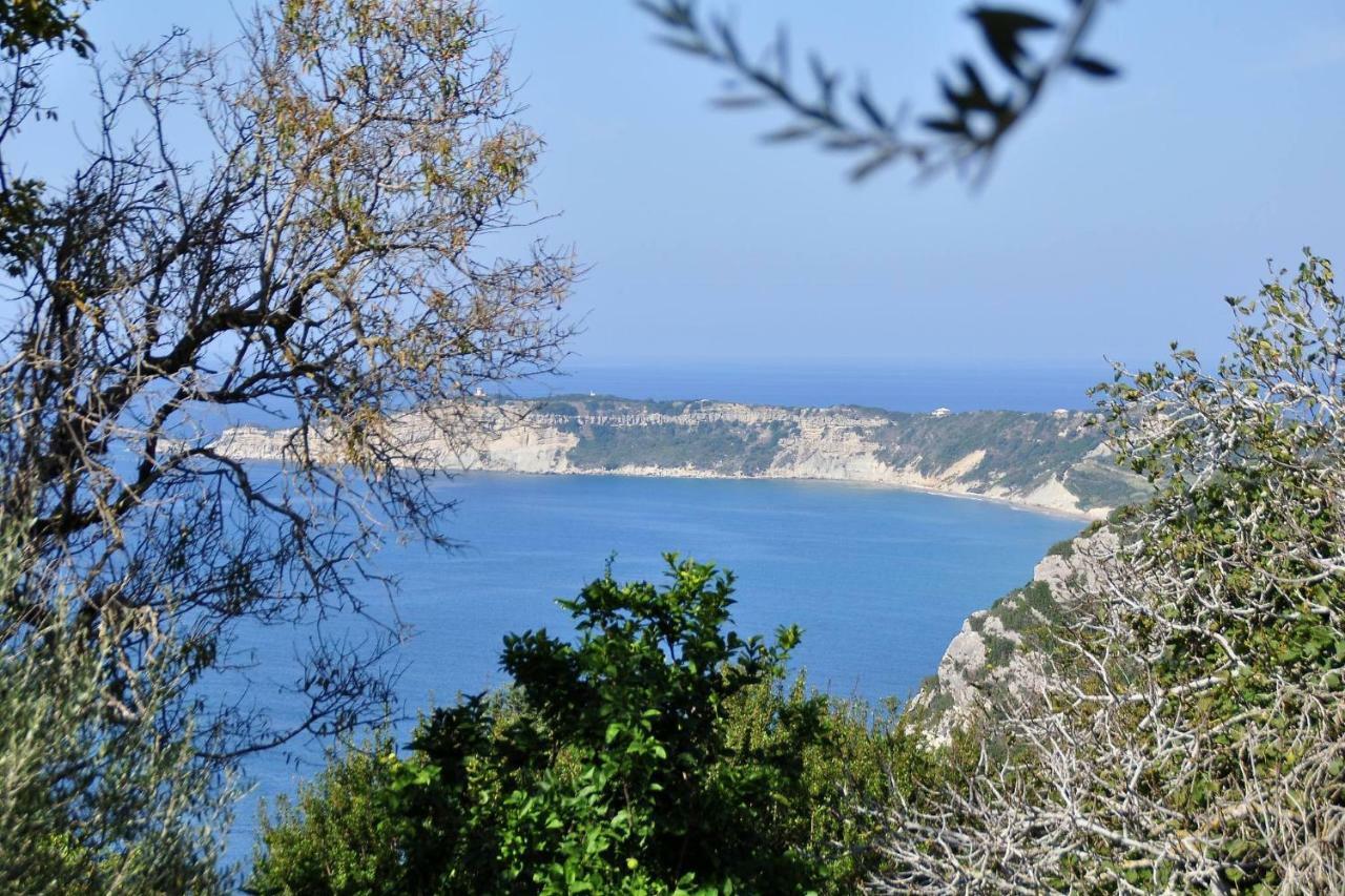 Villa Meli Afionas Corfu Екстер'єр фото